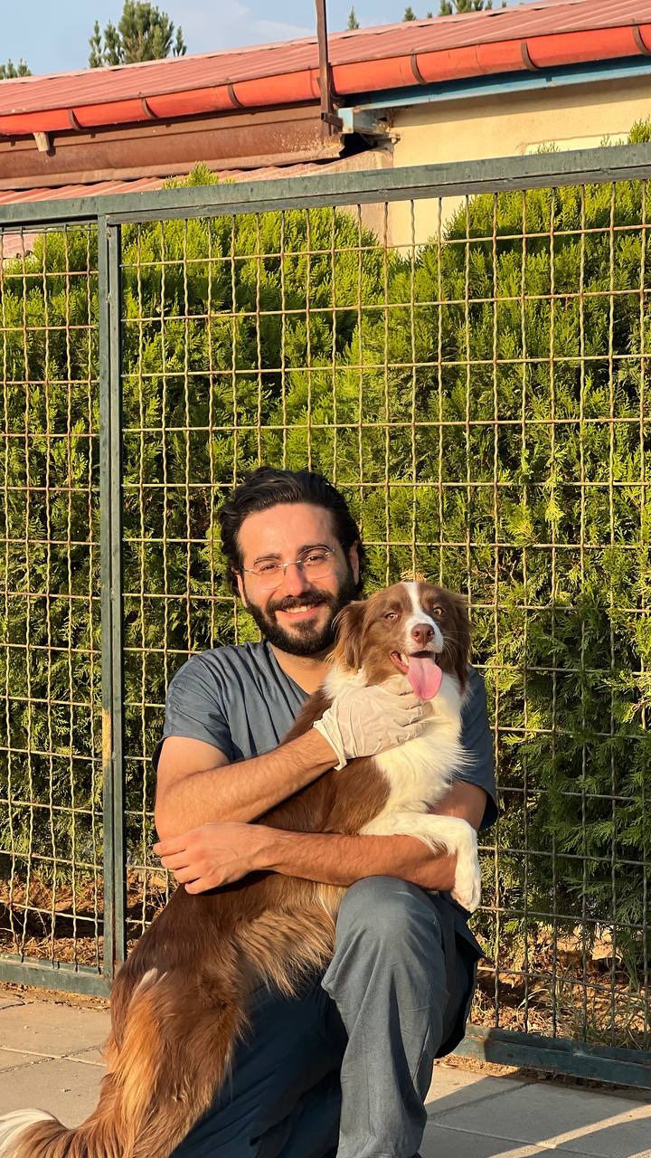 مولد نژاد بردر کالی کالی